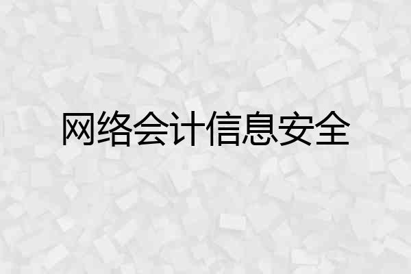 网络会计信息安全