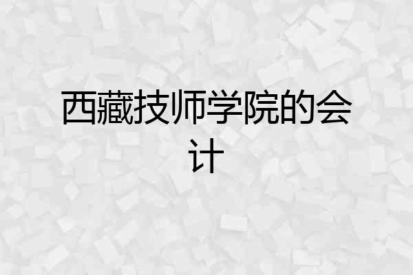 西藏技师学院的会计