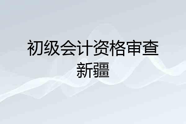 初级会计资格审查新疆