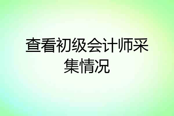 查看初级会计师采集情况