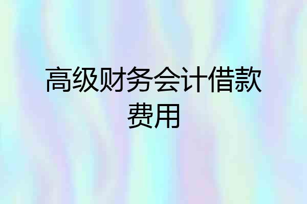 高级财务会计借款费用