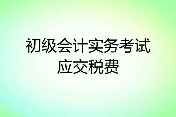 初级会计实务考试应交税费