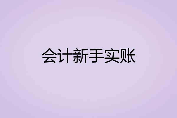 会计新手实账