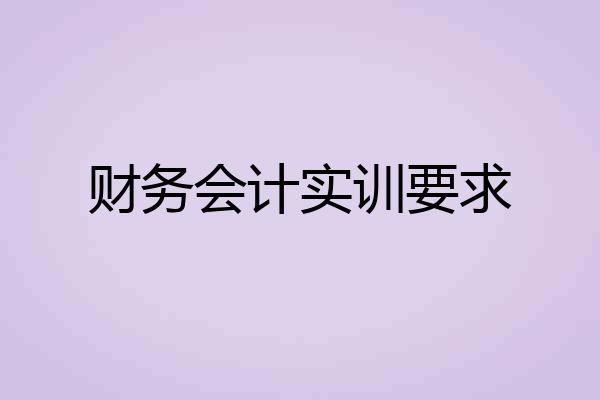 财务会计实训要求