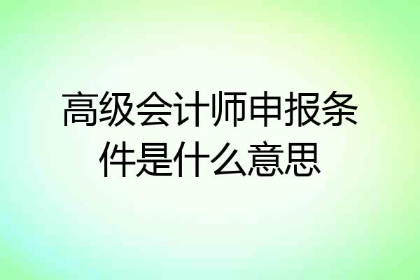 高级会计师申报条件是什么意思