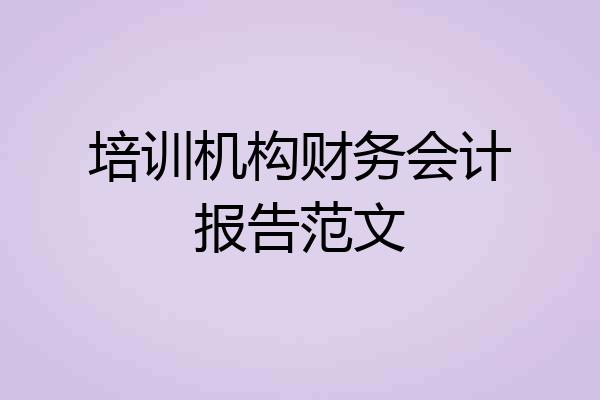 培训机构财务会计报告范文