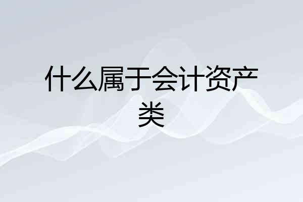 什么属于会计资产类