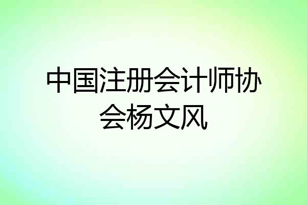 中国注册会计师协会杨文风
