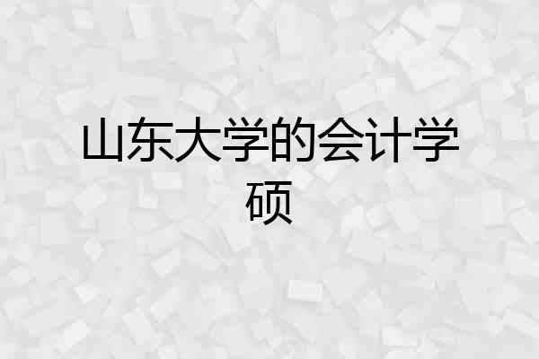 山东大学的会计学硕