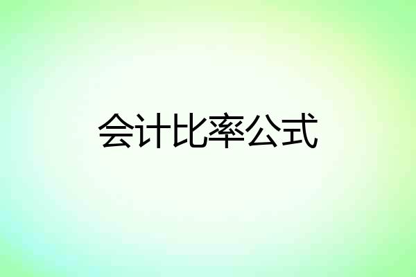 会计比率公式