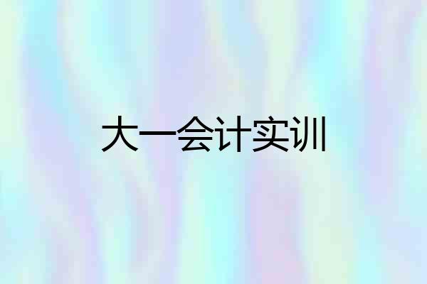大一会计实训