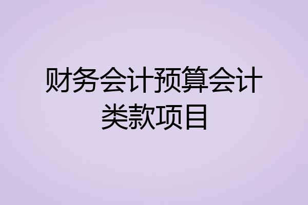 财务会计预算会计类款项目