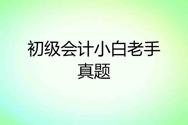 初级会计小白老手真题
