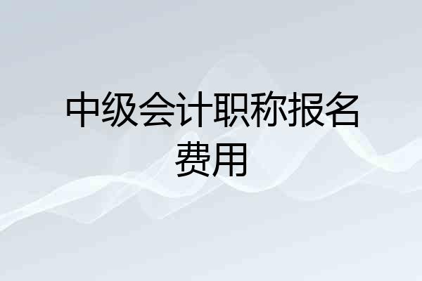 中级会计职称报名费用