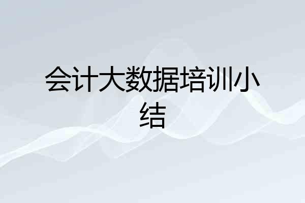 会计大数据培训小结