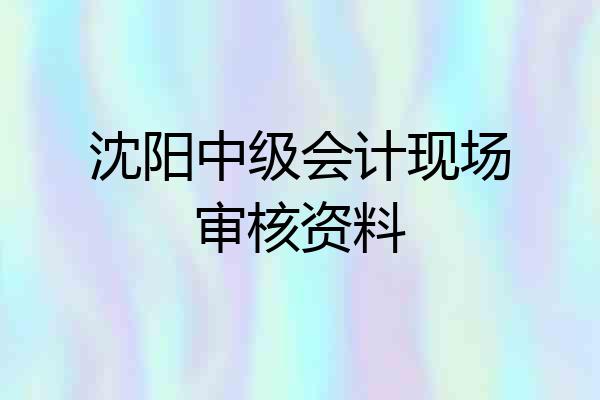 沈阳中级会计现场审核资料