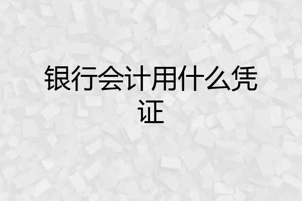 银行会计用什么凭证