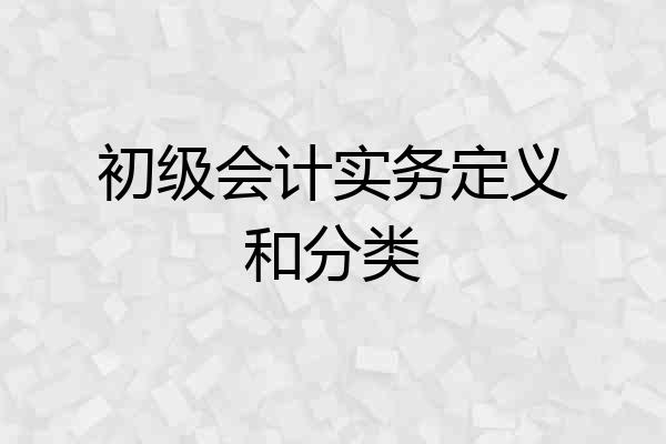初级会计实务定义和分类