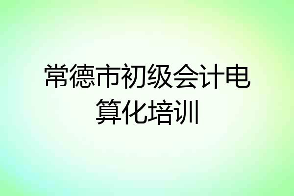 常德市初级会计电算化培训