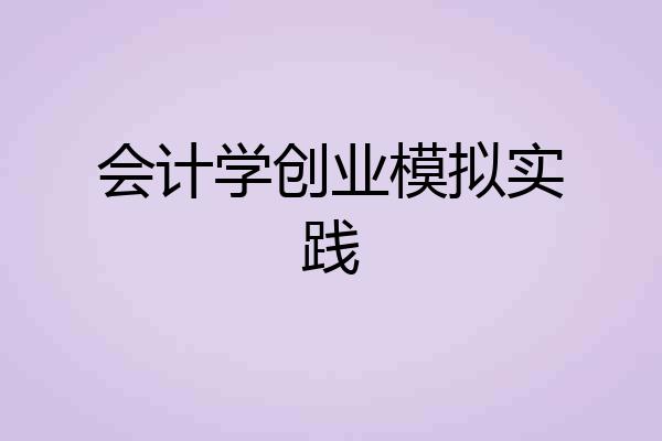 会计学创业模拟实践