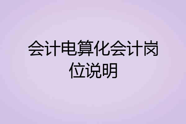 会计电算化会计岗位说明