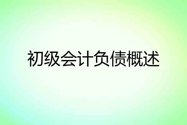 初级会计负债概述