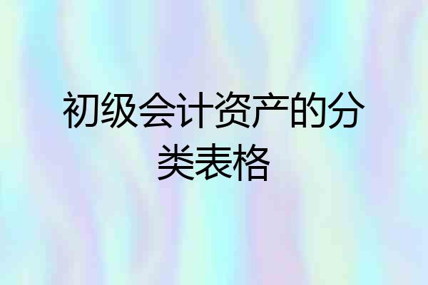 初级会计资产的分类表格