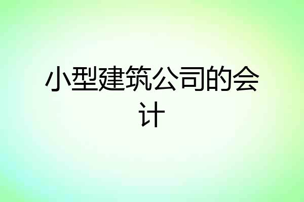 小型建筑公司的会计