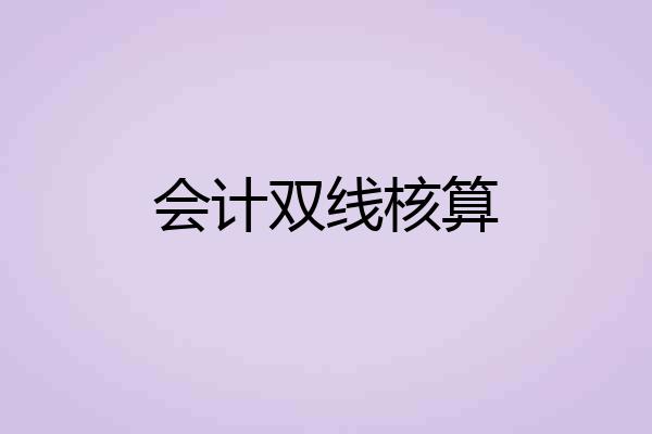 会计双线核算
