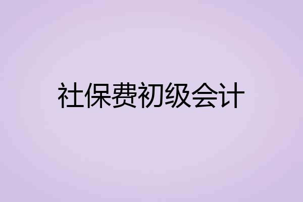 社保费初级会计