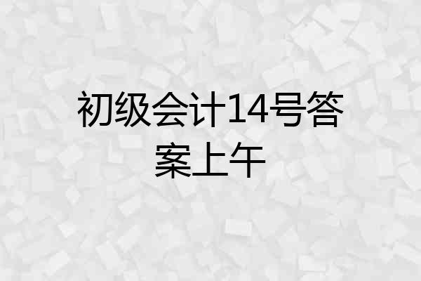 初级会计14号答案上午