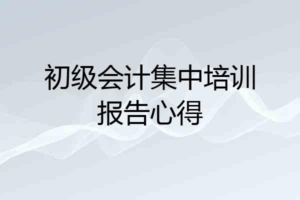 初级会计集中培训报告心得