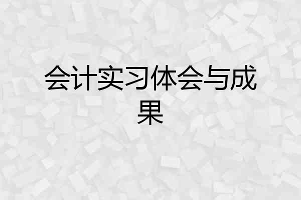 会计实习体会与成果