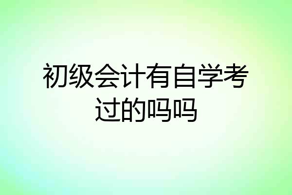 初级会计有自学考过的吗吗