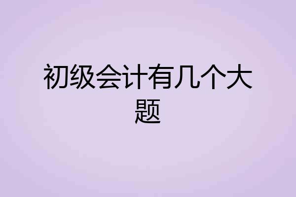 初级会计有几个大题