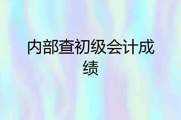 内部查初级会计成绩