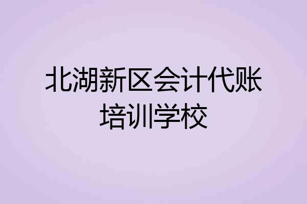 北湖新区会计代账培训学校