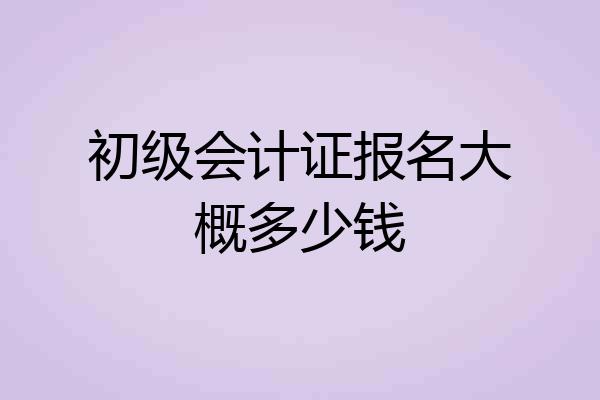 初级会计证报名大概多少钱