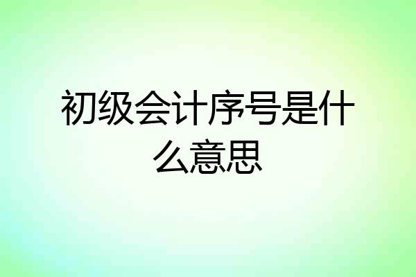 初级会计序号是什么意思