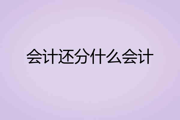会计还分什么会计