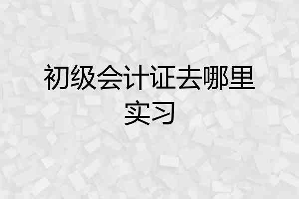 初级会计证去哪里实习