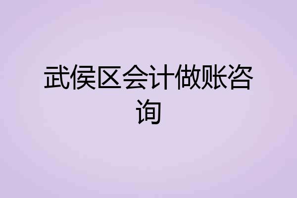 武侯区会计做账咨询