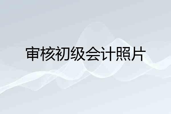 审核初级会计照片
