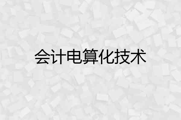 会计电算化技术