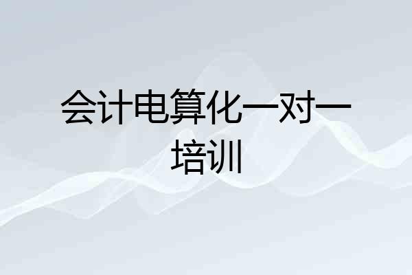 会计电算化一对一培训