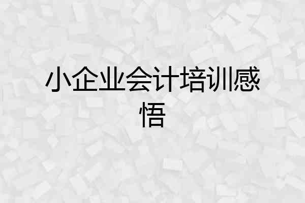 小企业会计培训感悟