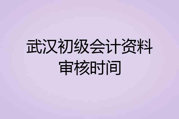 武汉初级会计资料审核时间