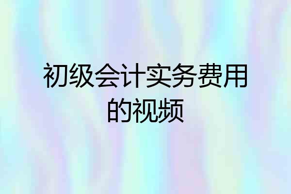 初级会计实务费用的视频