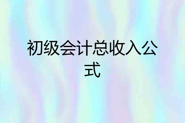 初级会计总收入公式
