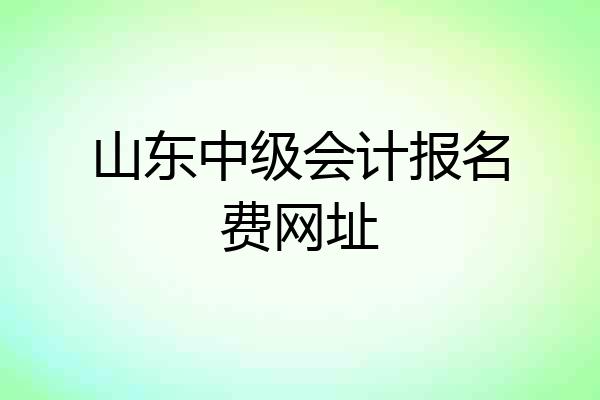 山东中级会计报名费网址